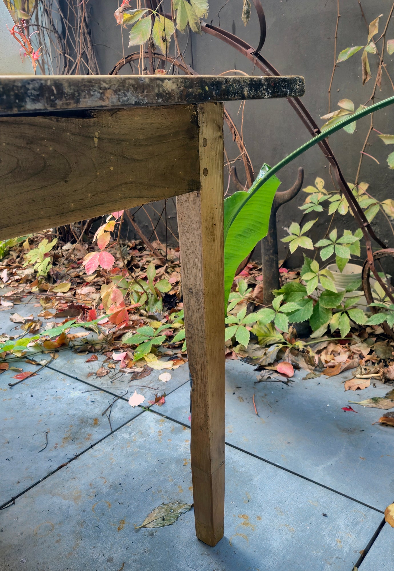 Tavolo Antico con bellissimo Top in Pioppo | '800