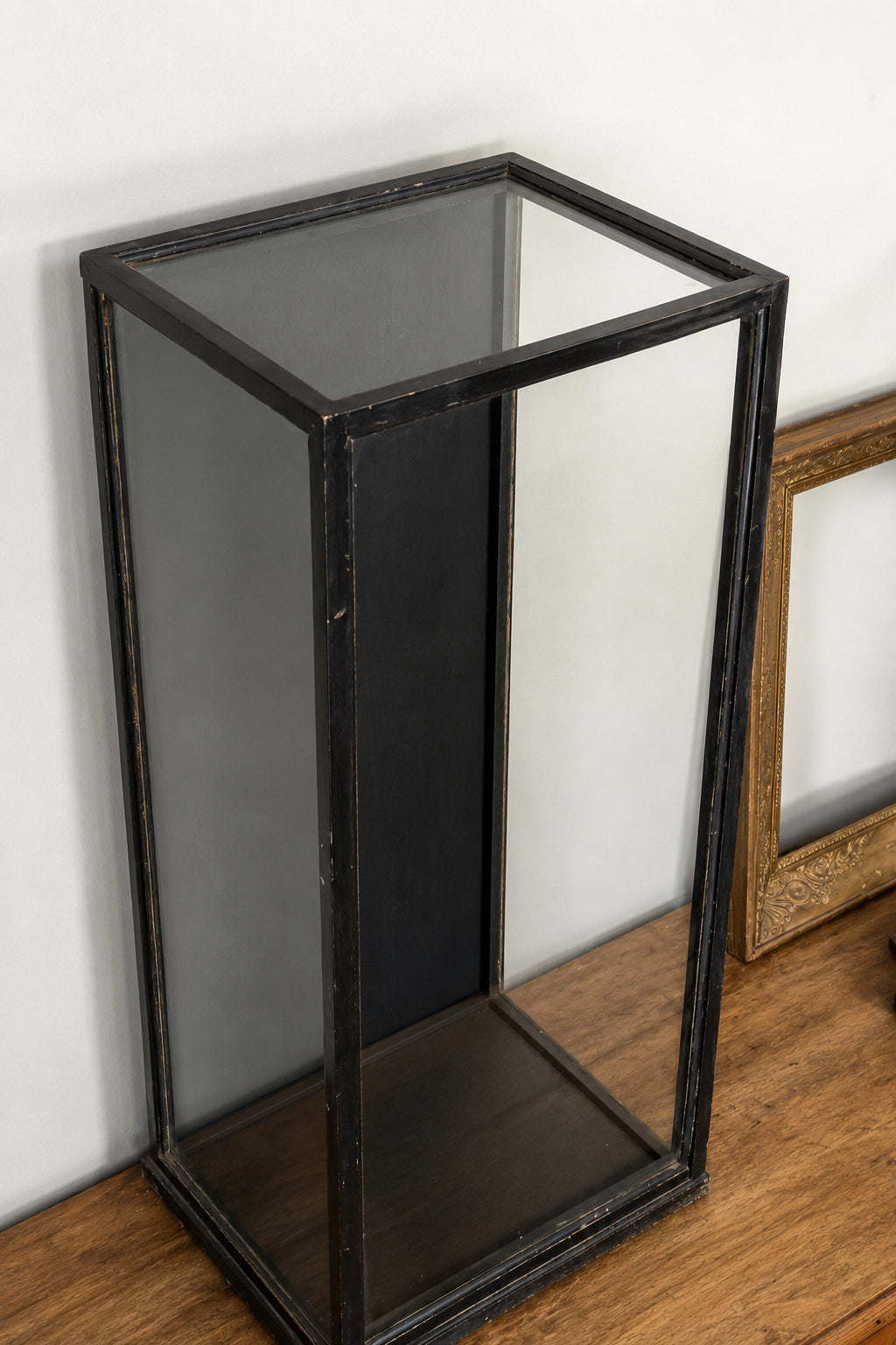 Teca antica da esposizione in legno ebanizzato e vetro | Italia, circa 1900