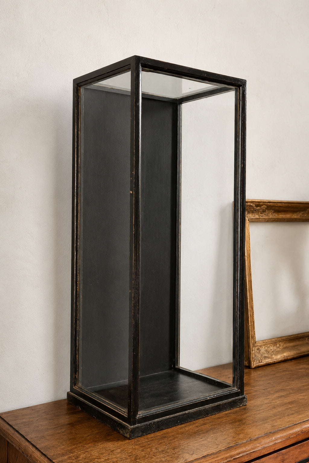 Teca antica da esposizione in legno ebanizzato e vetro | Italia, circa 1900