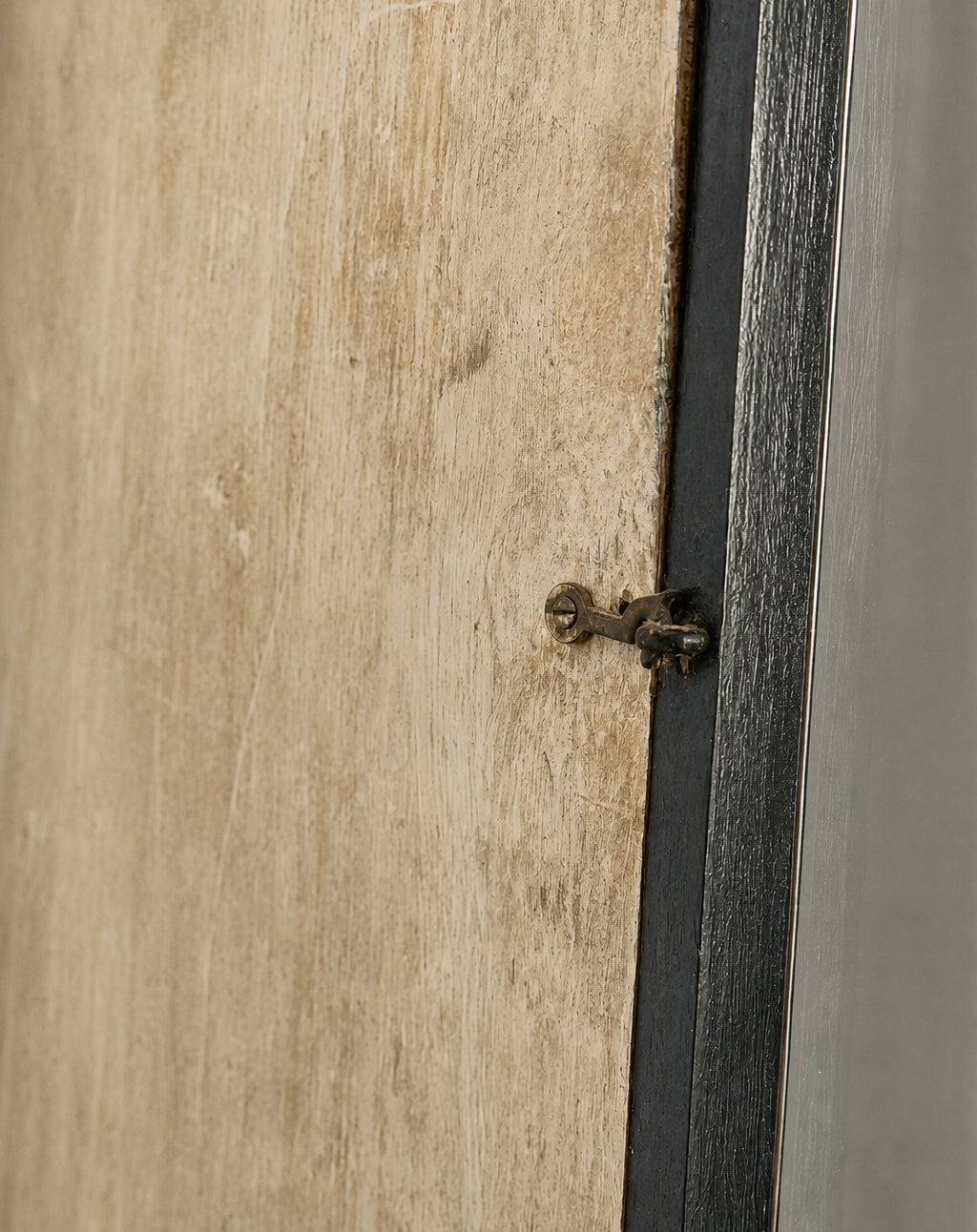 Teca antica da esposizione in legno ebanizzato e vetro | Italia, circa 1900